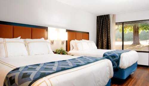 Standard Queen Room