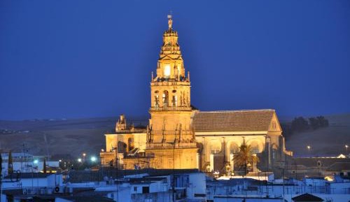 Junior Suite with Terrace