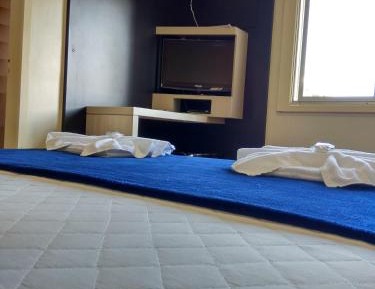 Studio with Sofa Bed