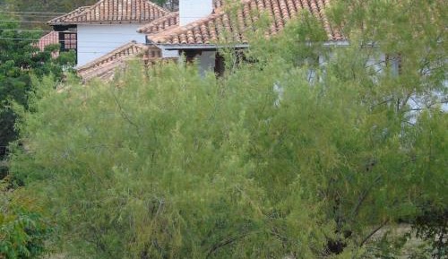 Deluxe Queen Room with Two Queen Beds