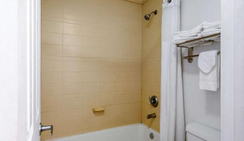 Double Room with Two Double Beds
