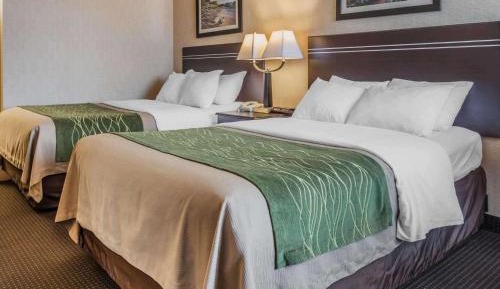 Double Room with Two Double Beds - Non-Smoking