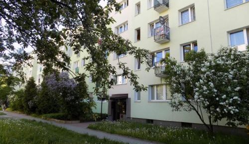 Economy Small Double Room with Shared Bathroom