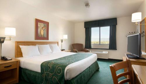 King Room - Non-Smoking