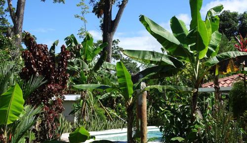 One-Bedroom Apartment with Garden View