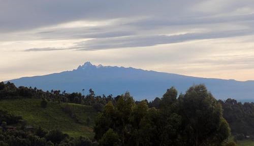 Double Room with Mountain View