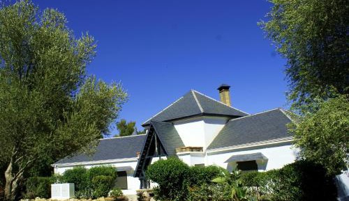 Four-Bedroom Villa (12 Adults)