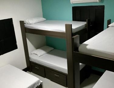Single Bed in Mixed Dormitory Room
