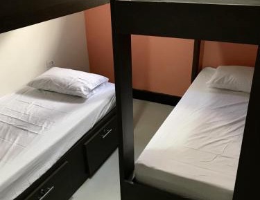 Single Bed in Mixed Dormitory Room