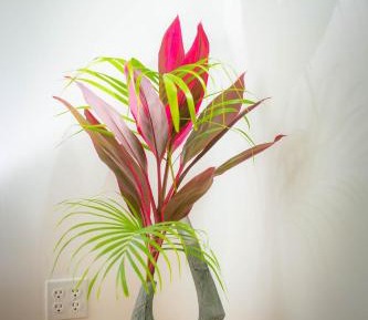 Two-Bedroom Bungalow