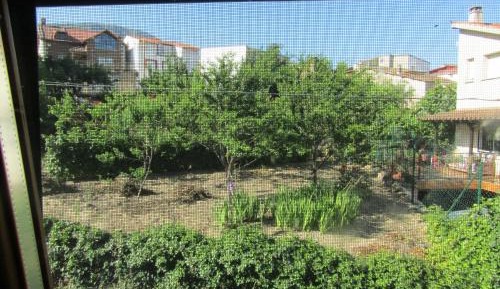 Three-Bedroom Chalet