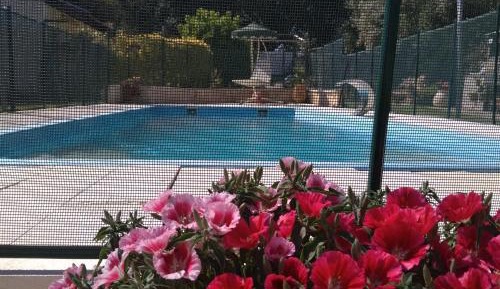 Suite with Private Pool