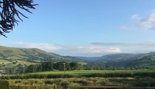 Deluxe King Room with Shower - No pets allowed 