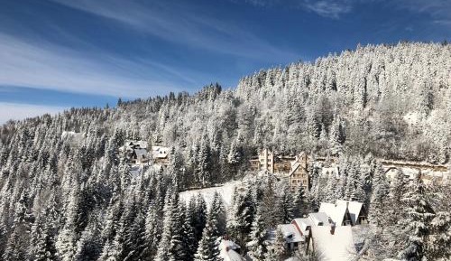 Studio with Mountain View