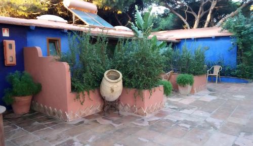 Superior Double Bungalow