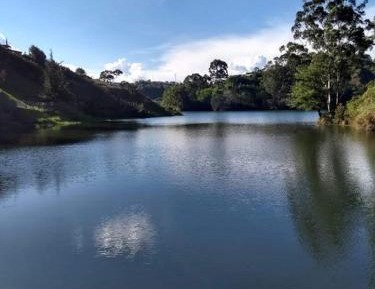 Family Room with Lake View