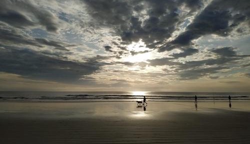 Studio Apartment with Garden View