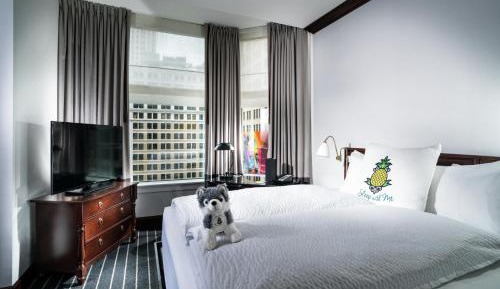 Executive King Suite