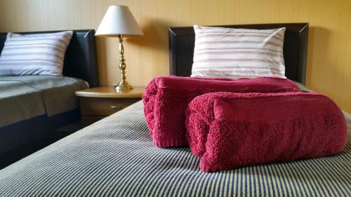 Standard Twin Room with Mountain View