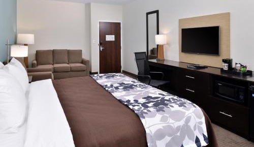 King Suite - Non-Smoking