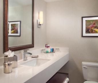 Executive King Suite