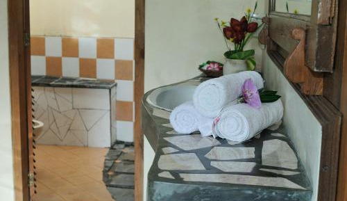 Superior Twin Room with Garden View
