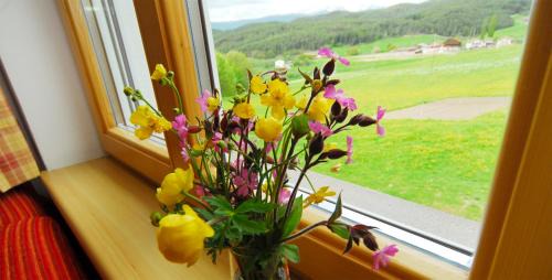 Two-Bedroom Apartment (4 Adults)