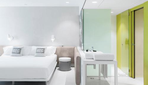 Superior Deluxe Double or Twin Room 