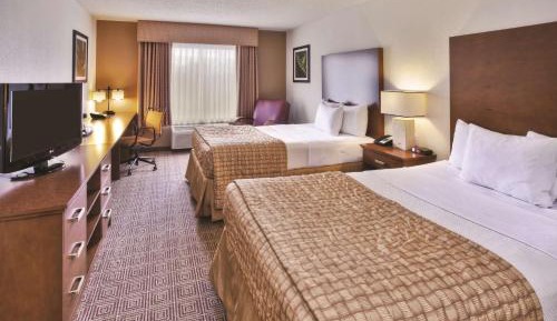 Double Room with Two Double Beds - Non-Smoking