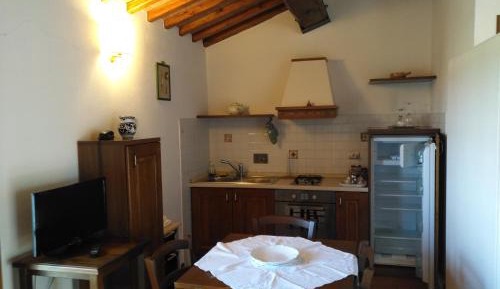 Studio with Garden View