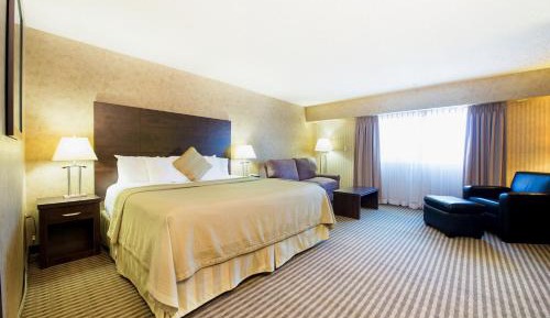 King Suite with Sofa Bed