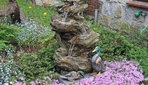 Apartment with Shower