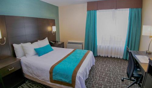 Queen Room with Roll-In Shower - Mobility Accessible/Non-Smoking