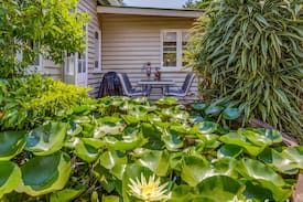 North Tamborine Cabin | TARRAN