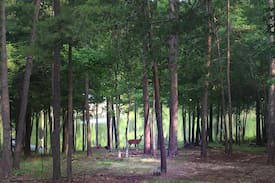 Merifield Acres Cabin | Kerr Lake Log Cabin on calm cove