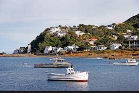 Wellington Other | The Lighthouse in Island Bay
