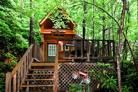 Andrews House | Little Tree
