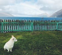 Unalaska Cabin | Waterfront Room on Iliuliuk Bay I