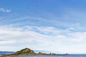 Wellington Other | The Lighthouse in Island Bay