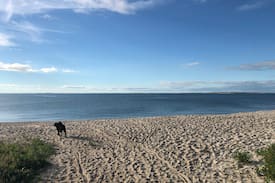 Shinnecock Hills Cabin | Beach Plum Cottages, Cottage #1