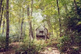 Burks Fork Cabin | Cute Cabin w/ hot tub, walk to Chateau Morrisette