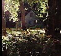Granville House | Art-Funk Cabin in the Woods is now 420-friendly!