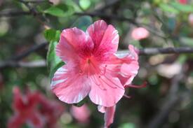 Three Rivers Cabin | Benjamin's Riverside Hideaway