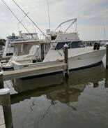 Cambridge Boat Rental | Knox Landing