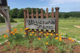 Guilford House | Stay in a Tiny House on our Sustainable Farm!