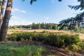 Mayne Island House | Picturesque and unique cob home on organic farm