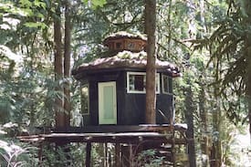Concrete Other | The Eagle's Perch -- A Tree-House Experience
