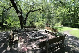 Brooksville Cabin | Withlacoochee River Retreat and Log Cabin Getaway