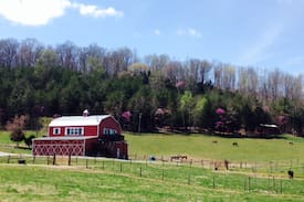 Sparta Cabin | The Toolshed at Firefly Acres