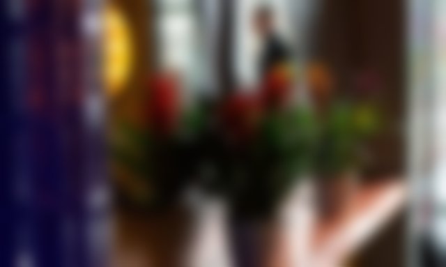 Gladysdale House | Little Yarra Tiny House